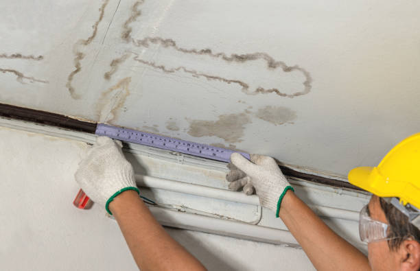 Reliable Water Damage contractor in Trail, OR by Water Damage Irwin